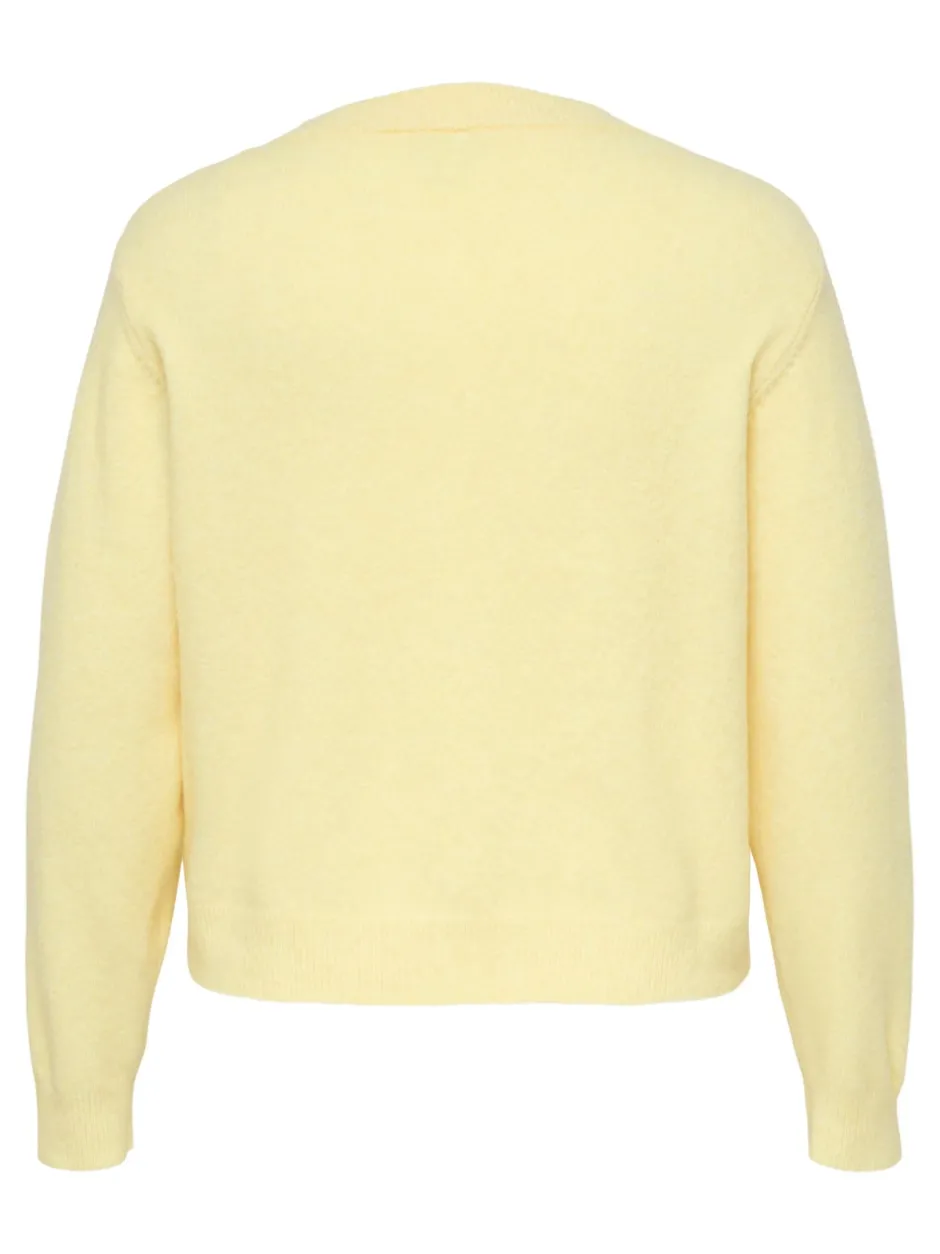 Best CARMACEY Striktrøje Dame Strik & Cardigans
