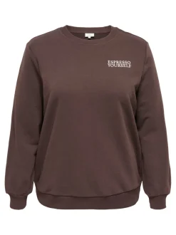 Hot CARSONNY Sweatshirt Dame Sweatshirts