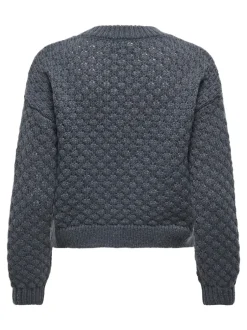 Online JDYCELESTE Striktrøje Dame Strik & Cardigans