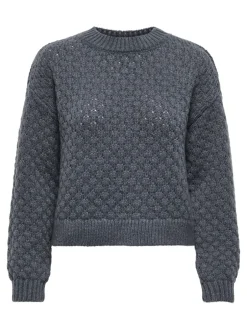 Online JDYCELESTE Striktrøje Dame Strik & Cardigans