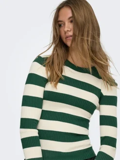 Online JDYPLUM Striktrøje Dame Strik & Cardigans