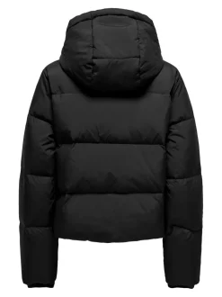 New ONLALICE Jakke Dame Jakker Og Frakker