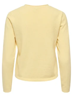 Hot ONLLOYAL Striktrøje Dame Strik & Cardigans