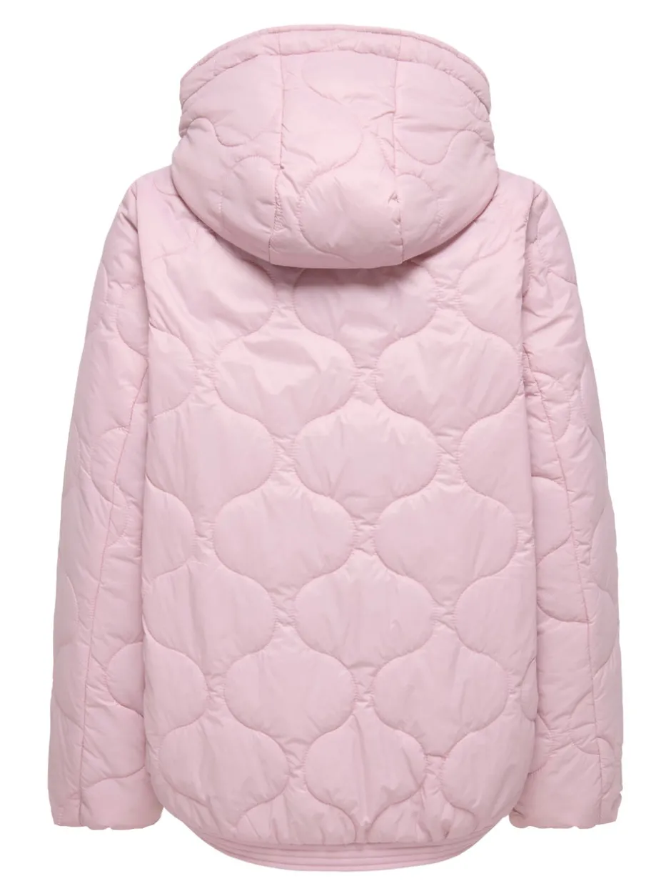 Clearance ONLMIKI Quiltet jakke Dame Jakker Og Frakker