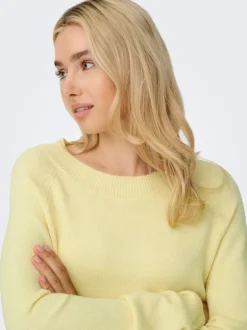 Online ONLRICA Striktrøje Dame Strik & Cardigans