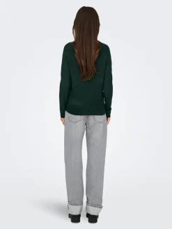 Best ONLRICA Striktrøje Dame Strik & Cardigans
