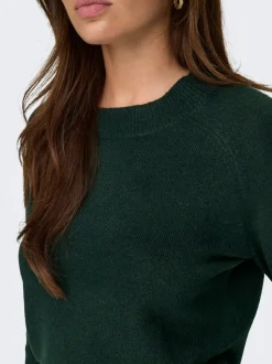 Best ONLRICA Striktrøje Dame Strik & Cardigans