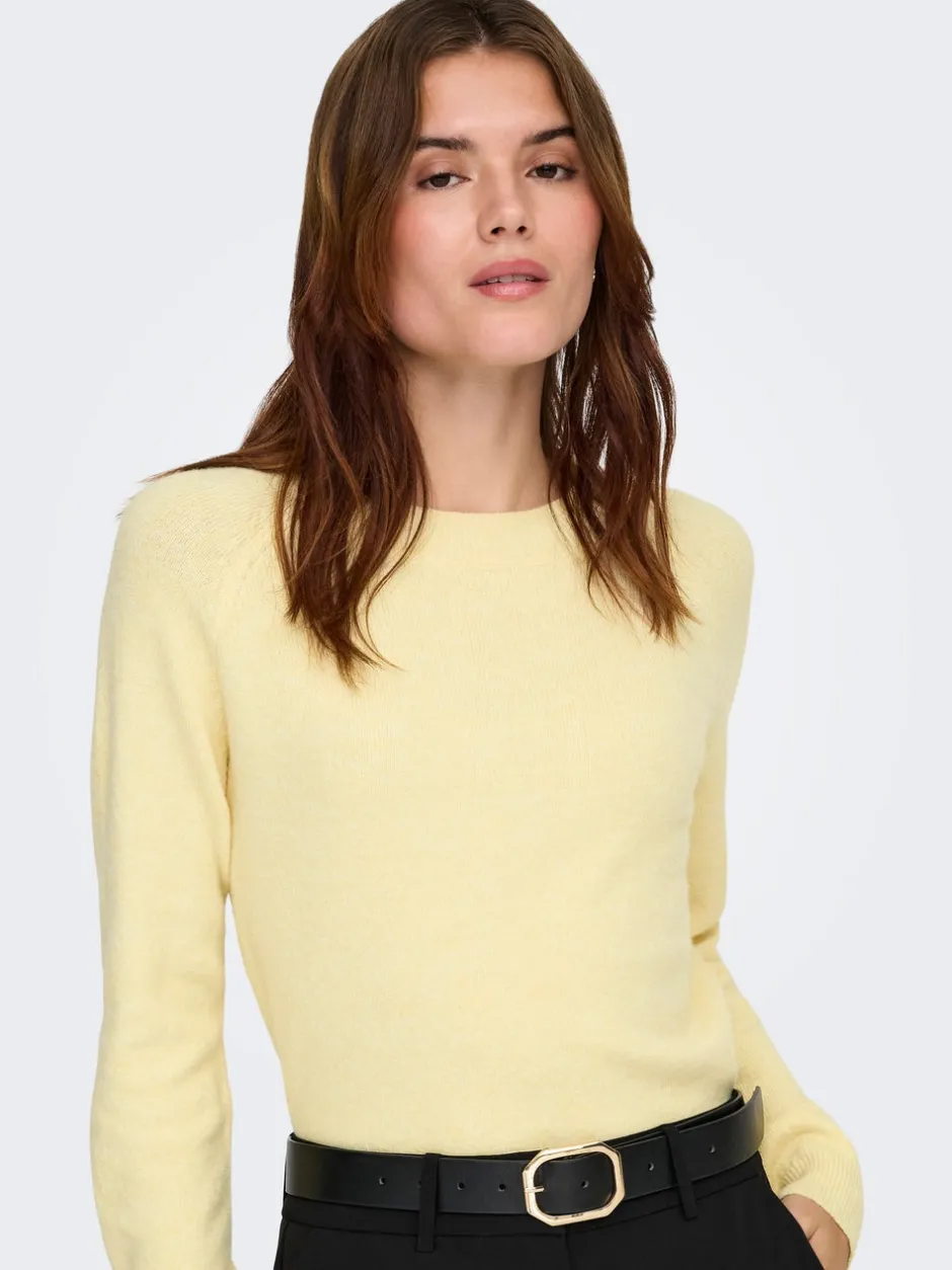 Best ONLRICA Striktrøje Dame Strik & Cardigans