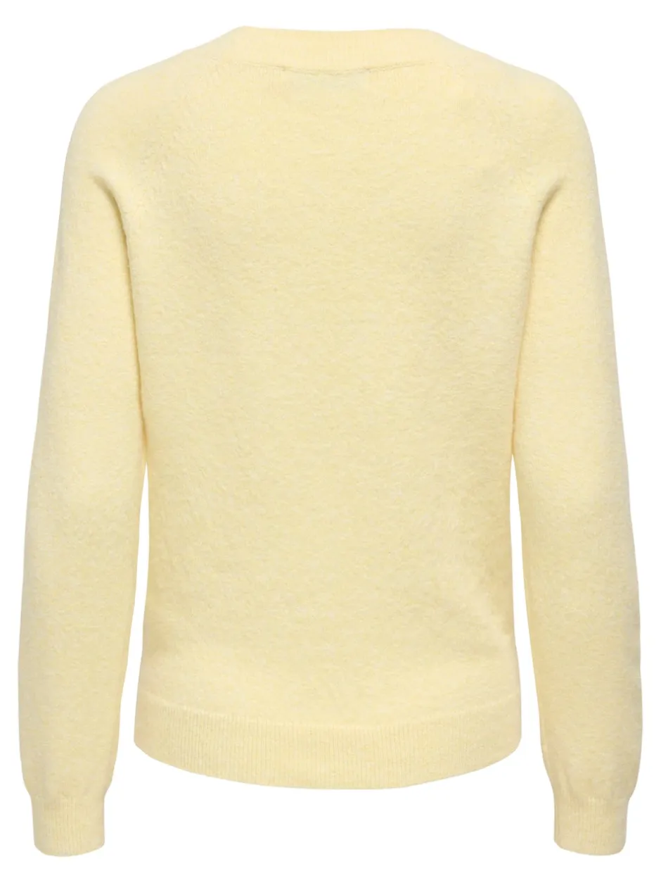 Best ONLRICA Striktrøje Dame Strik & Cardigans