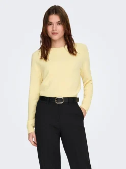 Best ONLRICA Striktrøje Dame Strik & Cardigans