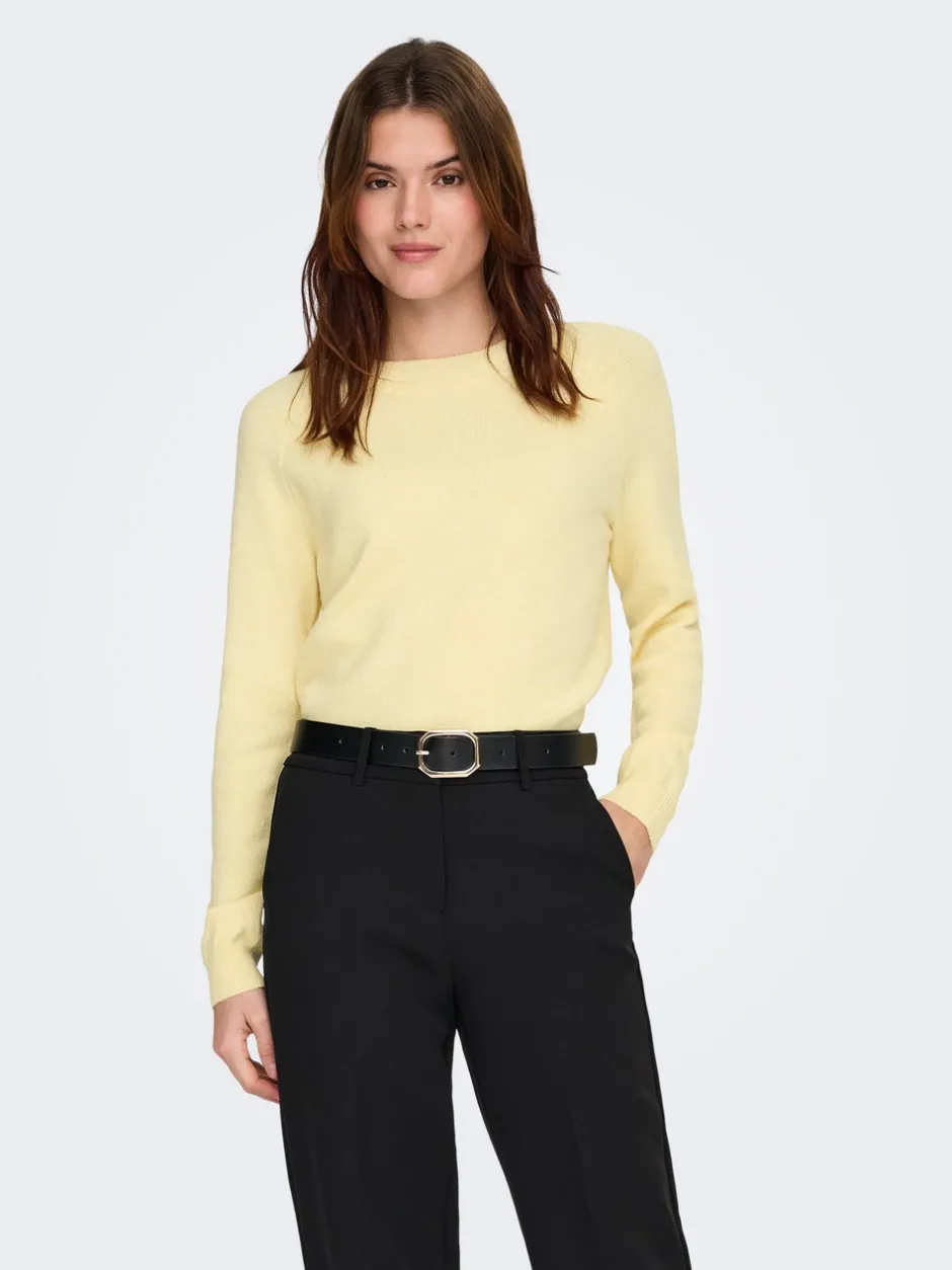Best ONLRICA Striktrøje Dame Strik & Cardigans