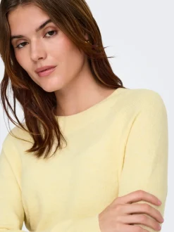 Best ONLRICA Striktrøje Dame Strik & Cardigans