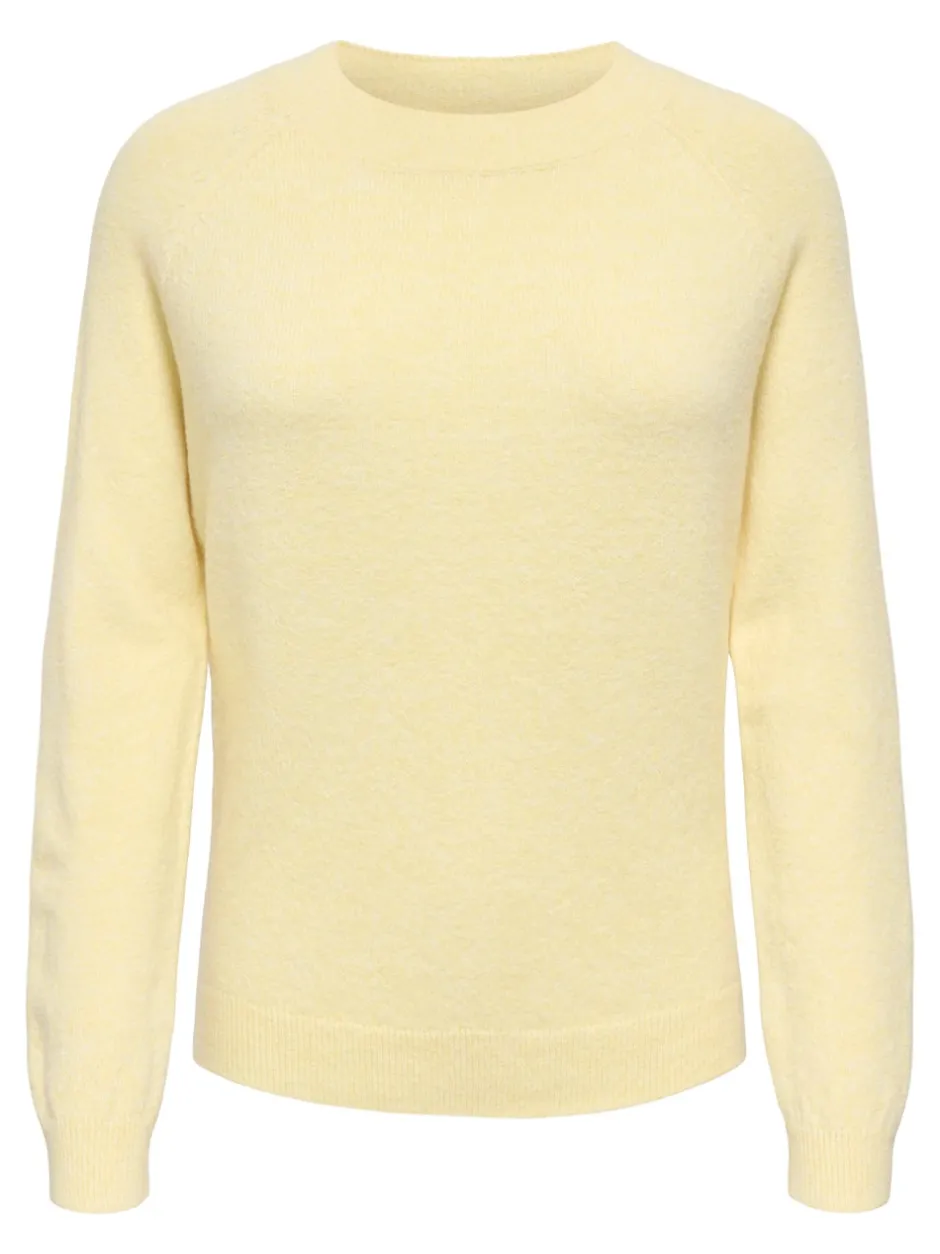 Best ONLRICA Striktrøje Dame Strik & Cardigans