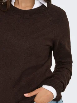 ONLRICA Striktrøje Dame Strik & Cardigans
