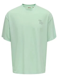 Online ONSLEON T-shirt T-Shirts