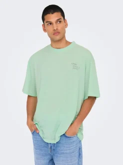 Online ONSLEON T-shirt T-Shirts